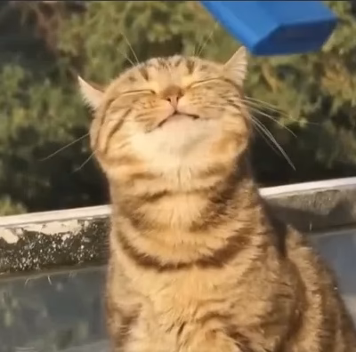 @Jei